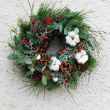 bavlník-a-cesmína_2023_profilovka