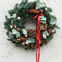 dvere_s-cervenou-stuzkou_profilovka