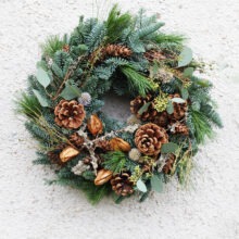 prirodni-bez-ozdob_2023_profilovka