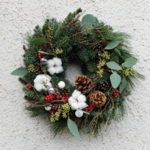 dvere_standard_25_bavlnik-cesmina