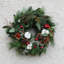 dvere_standard_25_bavlnik-cesmina_