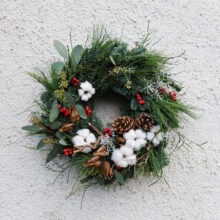 dvere_standard_25_bavlnik-cesmina_4