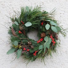 dvere_standard_25_cesmina_